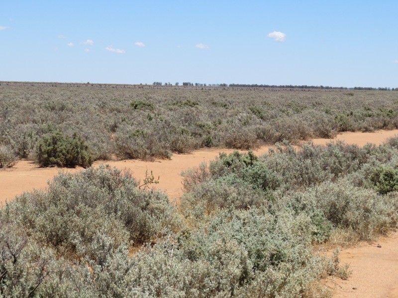 “Kempsey” Maude Road, Hay NSW 2711