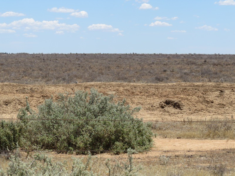 “Kempsey” Maude Road, Hay NSW 2711