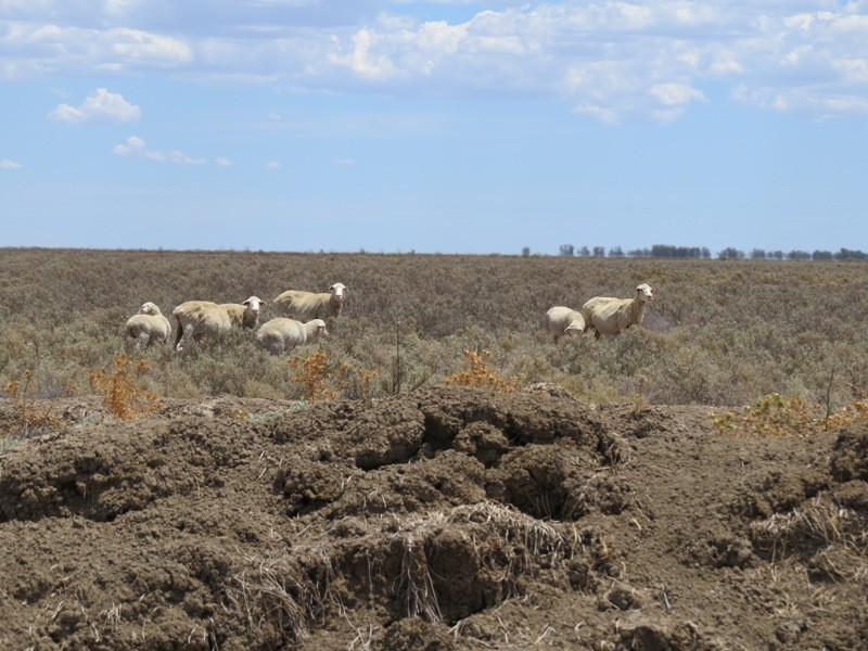 “Kempsey” Maude Road, Hay NSW 2711