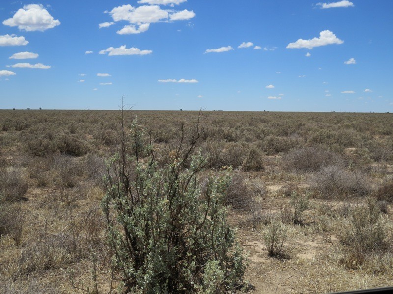 “Kempsey” Maude Road, Hay NSW 2711