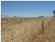 3171 Sturt Highway, Wagga Wagga NSW 2650