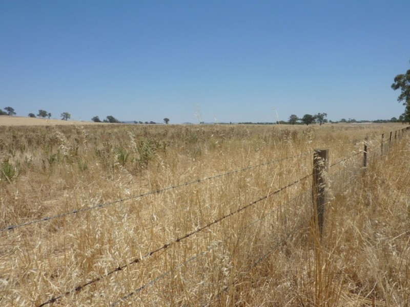 3171 Sturt Highway, Wagga Wagga NSW 2650