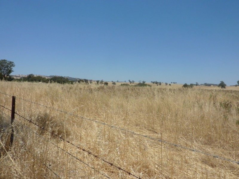 3171 Sturt Highway, Wagga Wagga NSW 2650