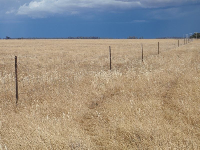 “Purapooka” Southdown Road, Deniliquin NSW 2710