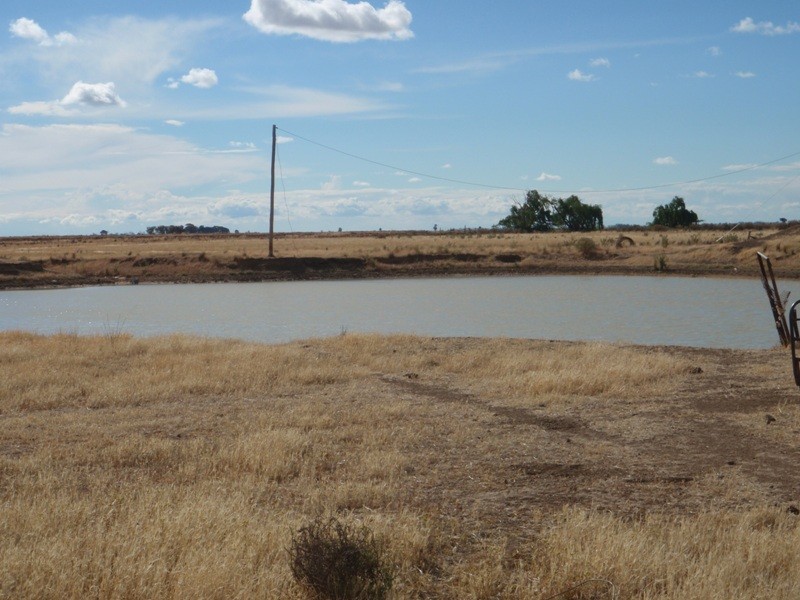 “Purapooka” Southdown Road, Deniliquin NSW 2710