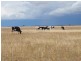 “Purapooka” Southdown Road, Deniliquin NSW 2710
