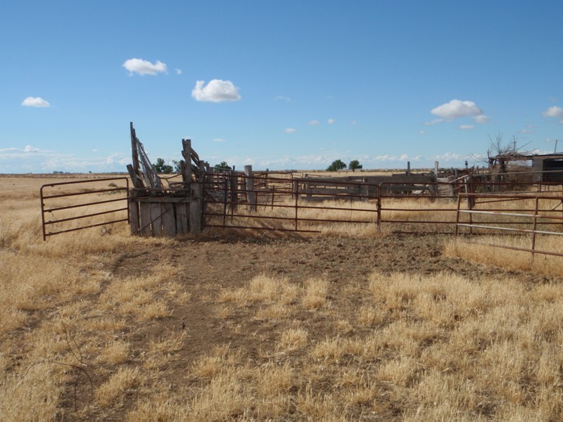 “Purapooka” Southdown Road, Deniliquin NSW 2710