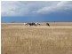 “Purapooka” Southdown Road, Deniliquin NSW 2710