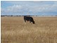 “Purapooka” Southdown Road, Deniliquin NSW 2710