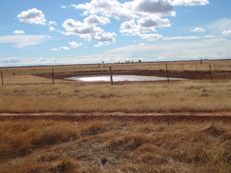 “Purapooka” Southdown Road, Deniliquin NSW 2710