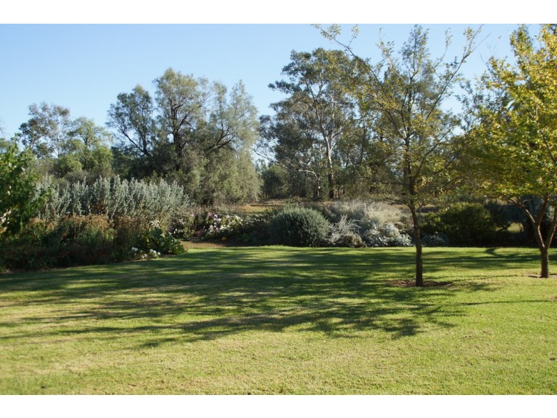 - Wingidgeon Station -, Jerilderie NSW 2716