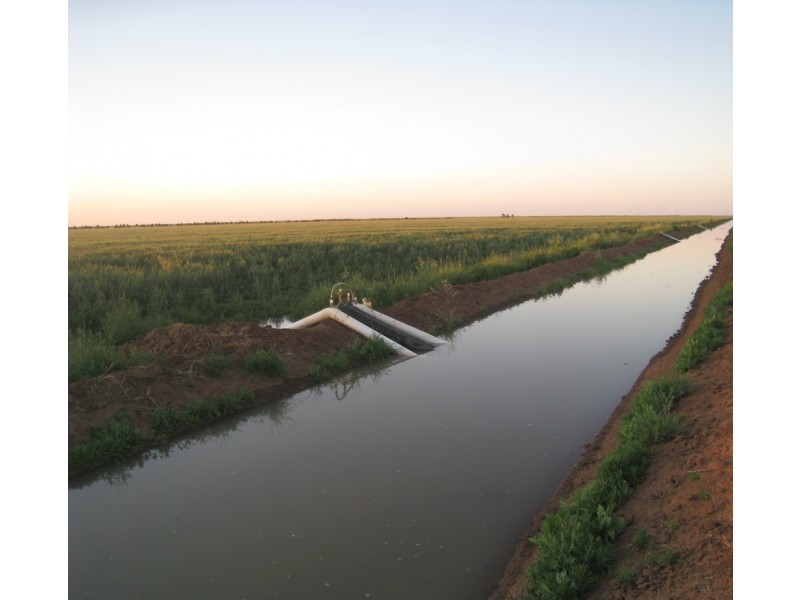 - Wingidgeon Station -, Jerilderie NSW 2716