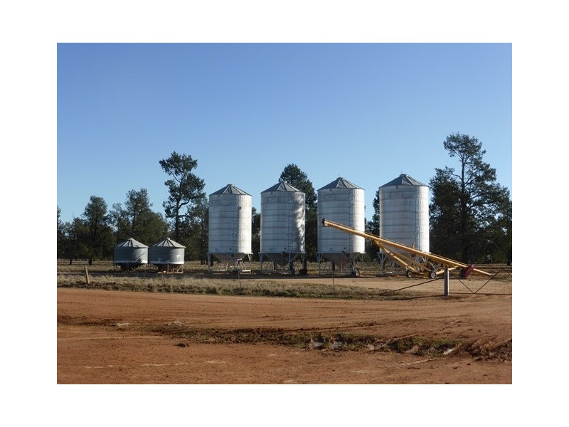 - Wingidgeon Station -, Jerilderie NSW 2716