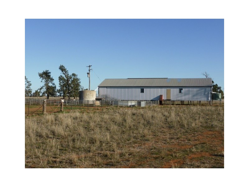 - Wingidgeon Station -, Jerilderie NSW 2716