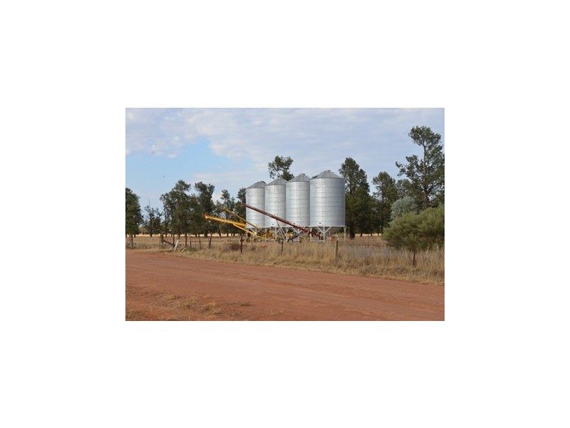 - Wingidgeon Station -, Jerilderie NSW 2716