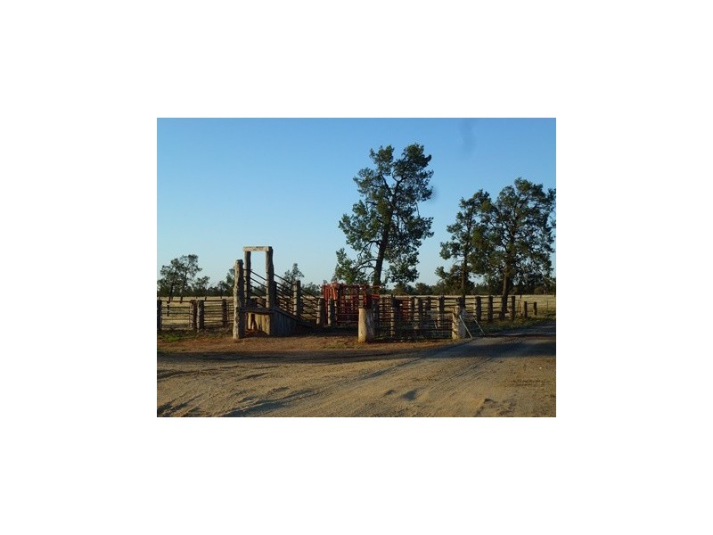 - Wingidgeon Station -, Jerilderie NSW 2716