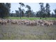 - Wingidgeon Station -, Jerilderie NSW 2716