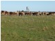 - Wingidgeon Station -, Jerilderie NSW 2716
