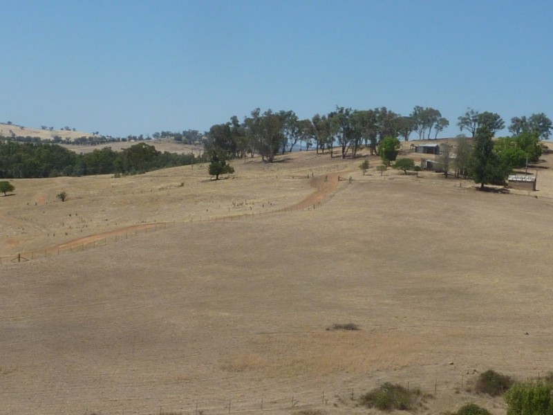 2541 Westbrook Road, Tarcutta NSW 2652