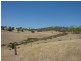 2541 Westbrook Road, Tarcutta NSW 2652