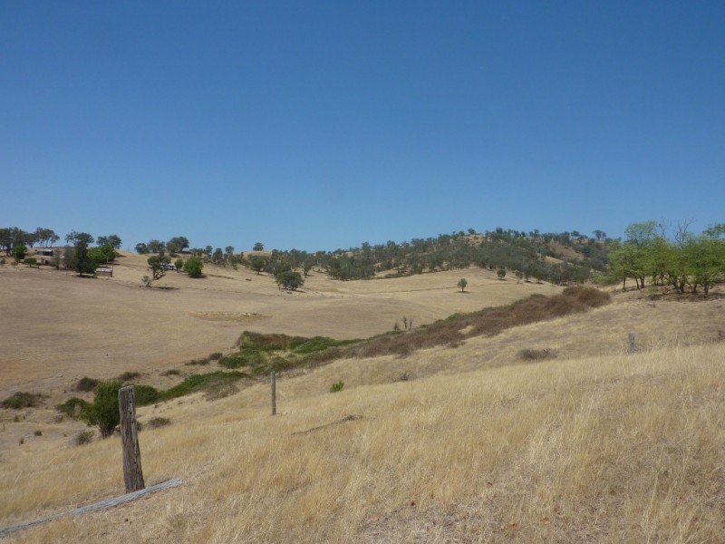 2541 Westbrook Road, Tarcutta NSW 2652