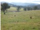 Lot 5 Altmeier Lane, Splitters Creek NSW 2640