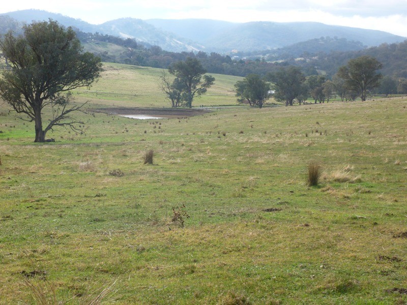 Lot 5 Altmeier Lane, Splitters Creek NSW 2640