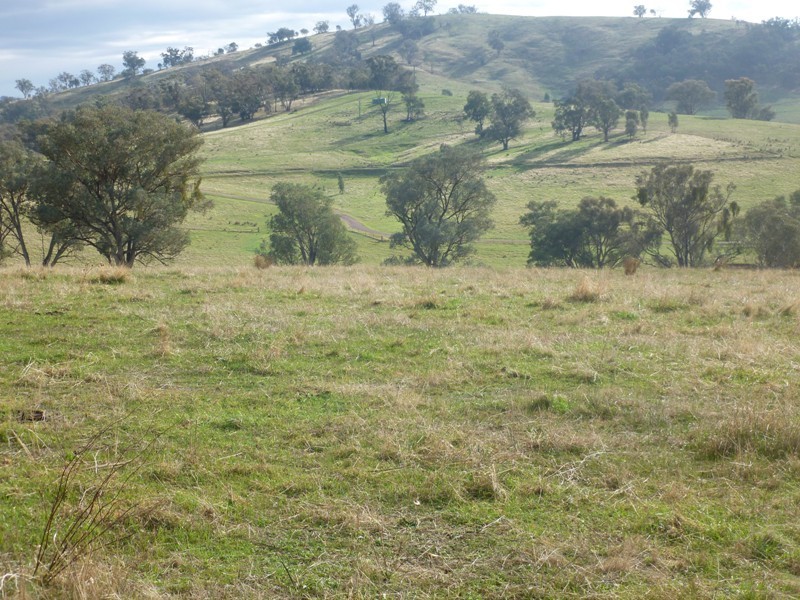Lot 5 Altmeier Lane, Splitters Creek NSW 2640