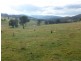 Lot 5 Altmeier Lane, Splitters Creek NSW 2640