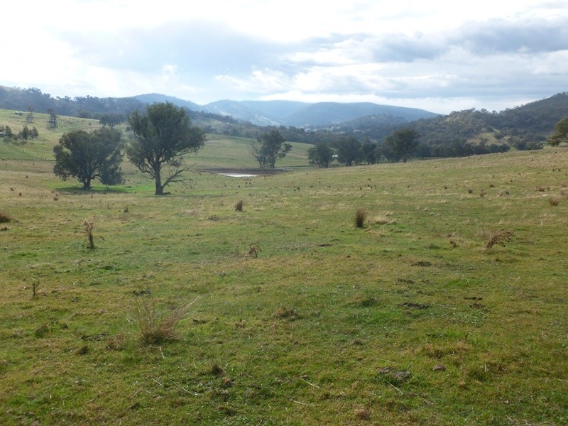 Lot 5 Altmeier Lane, Splitters Creek NSW 2640