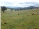Lot 5 Altmeier Lane, Splitters Creek NSW 2640