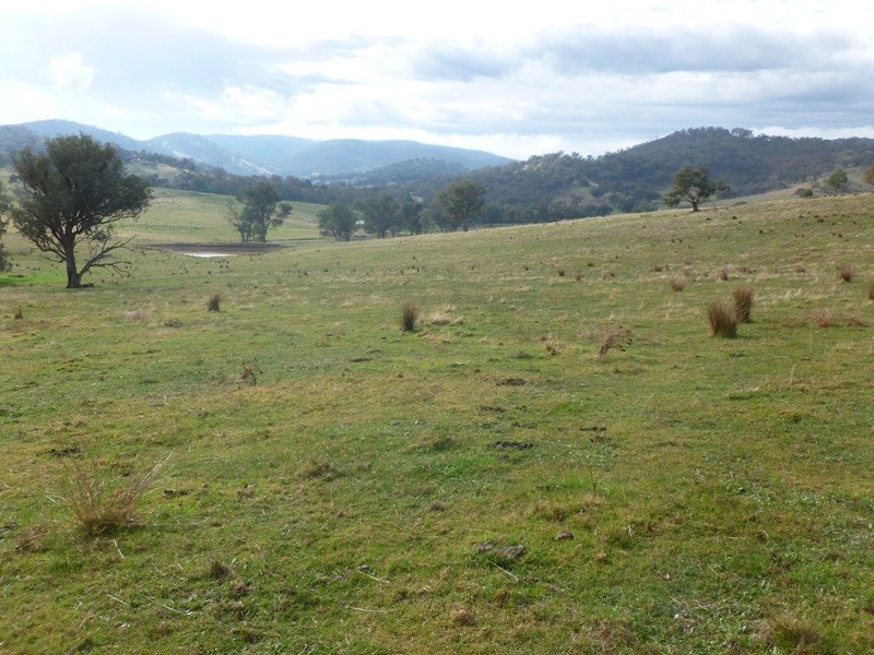 Lot 5 Altmeier Lane, Splitters Creek NSW 2640