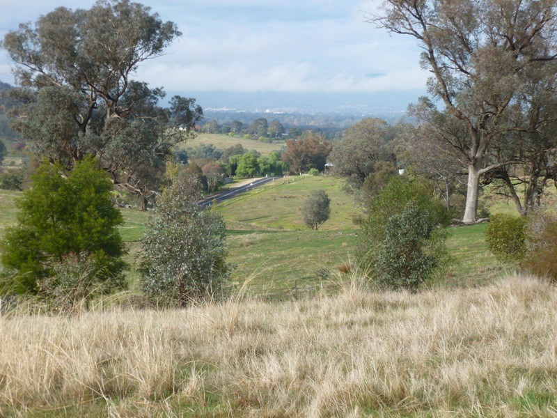 Lot 5 Altmeier Lane, Splitters Creek NSW 2640