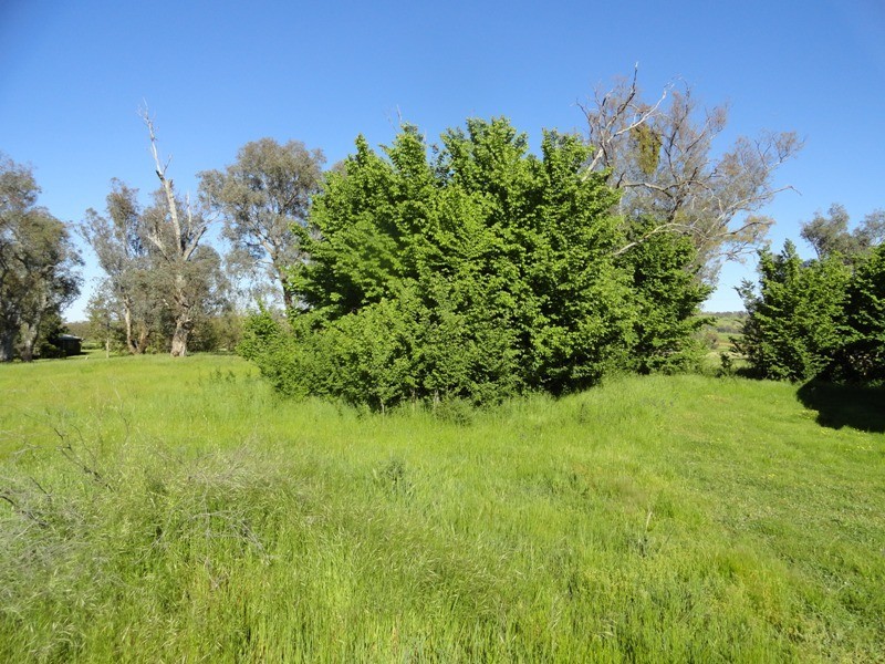 Lot 1 Hume Highway, Mullengandra NSW 2644