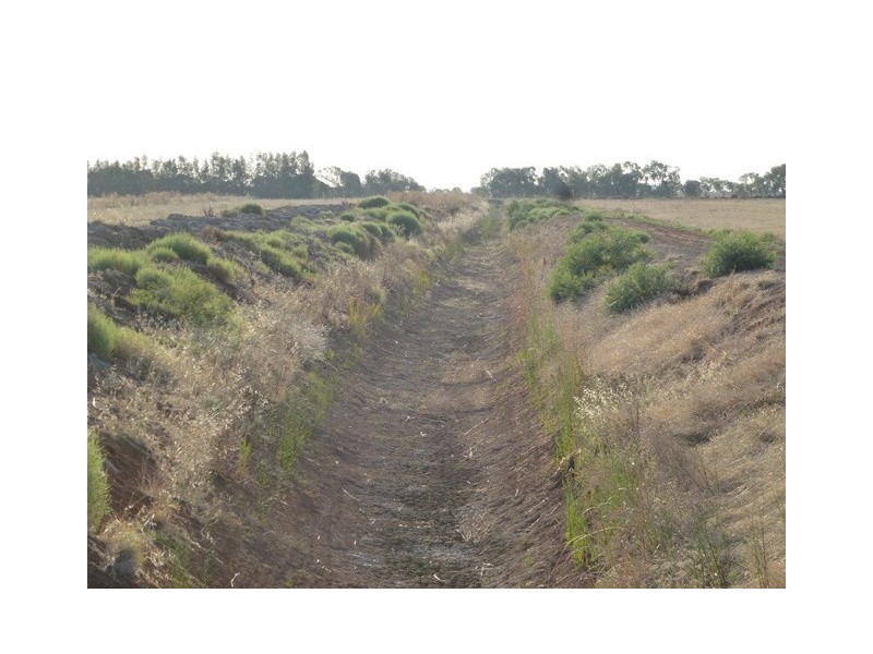 ‘Marydale’ Farm 76, Benerembah NSW 2680