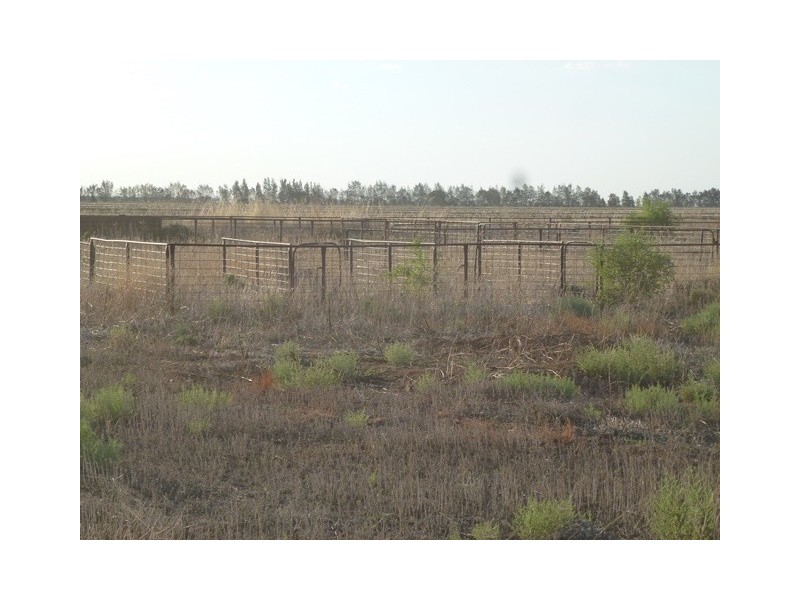 ‘Marydale’ Farm 76, Benerembah NSW 2680