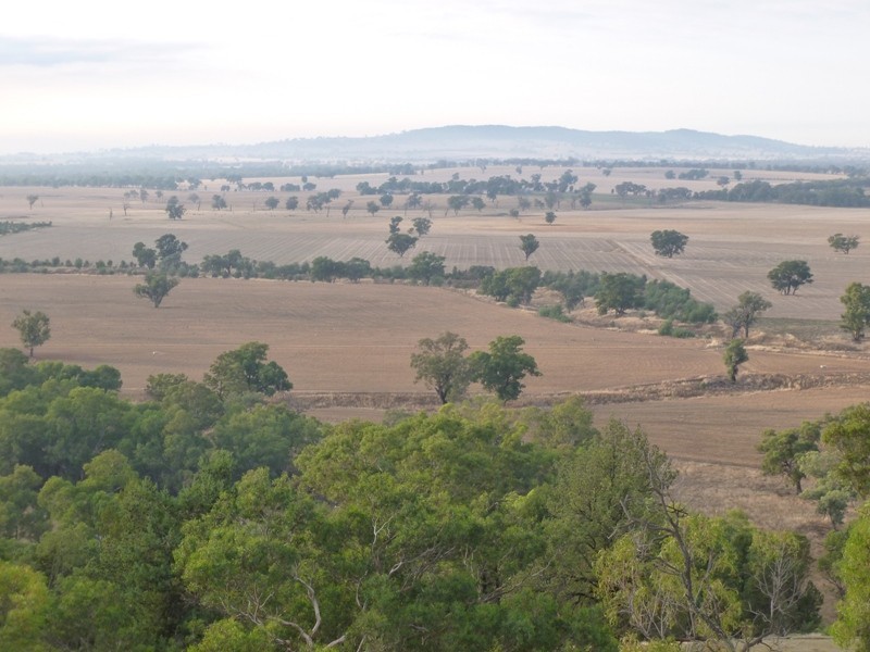 Longerenong Lookout Road, Walla Walla NSW 2659