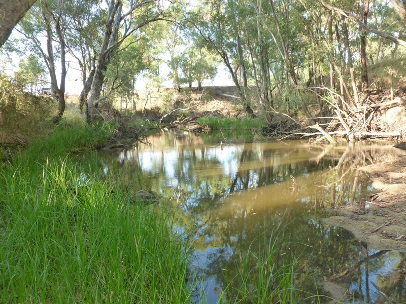 Longerenong Lookout Road, Walla Walla NSW 2659