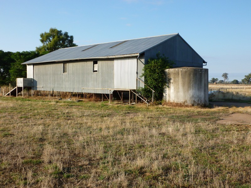 Longerenong Lookout Road, Walla Walla NSW 2659