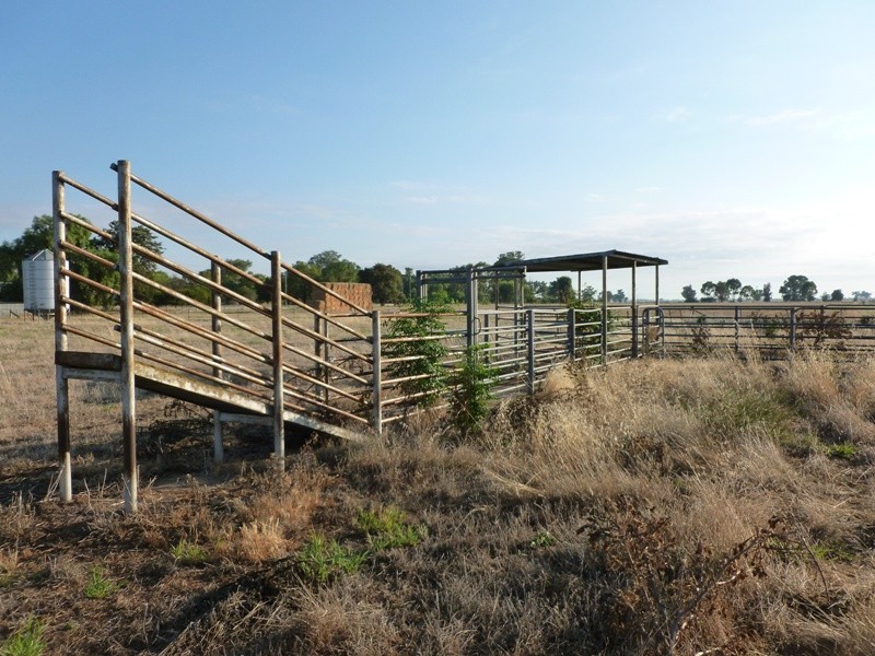 Longerenong Lookout Road, Walla Walla NSW 2659