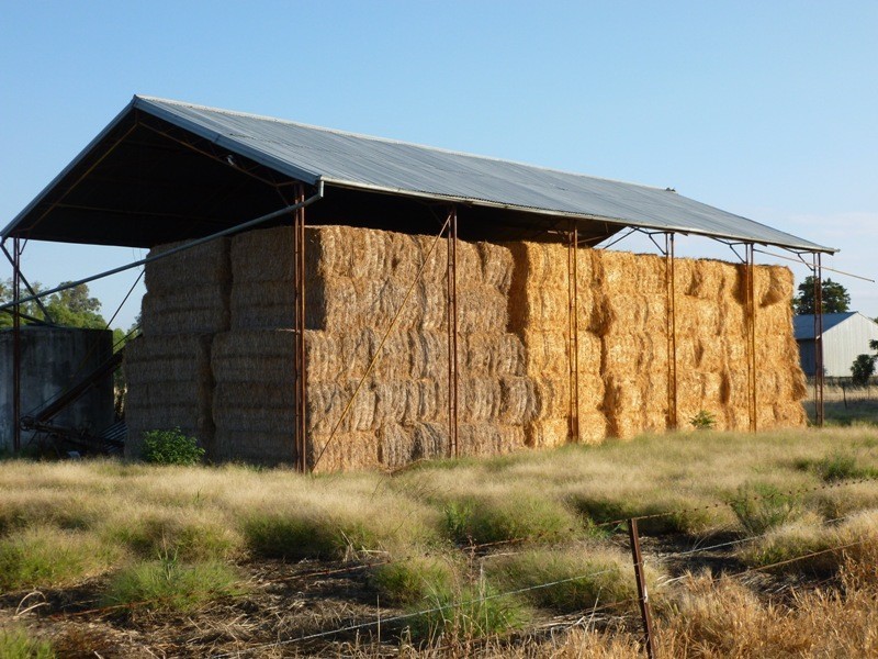 Longerenong Lookout Road, Walla Walla NSW 2659