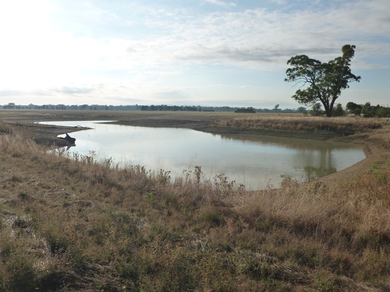 Longerenong Lookout Road, Walla Walla NSW 2659