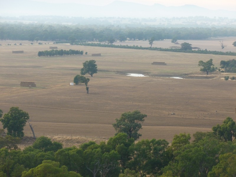 Longerenong Lookout Road, Walla Walla NSW 2659