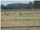 Farm 130 Old Common Road, Hay NSW 2711