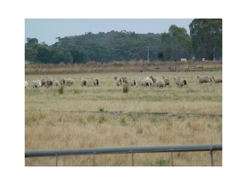 Farm 130 Old Common Road, Hay NSW 2711