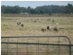 Farm 130 Old Common Road, Hay NSW 2711