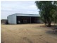 Farm 130 Old Common Road, Hay NSW 2711