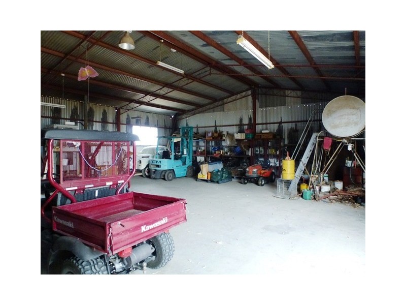 Farm 130 Old Common Road, Hay NSW 2711