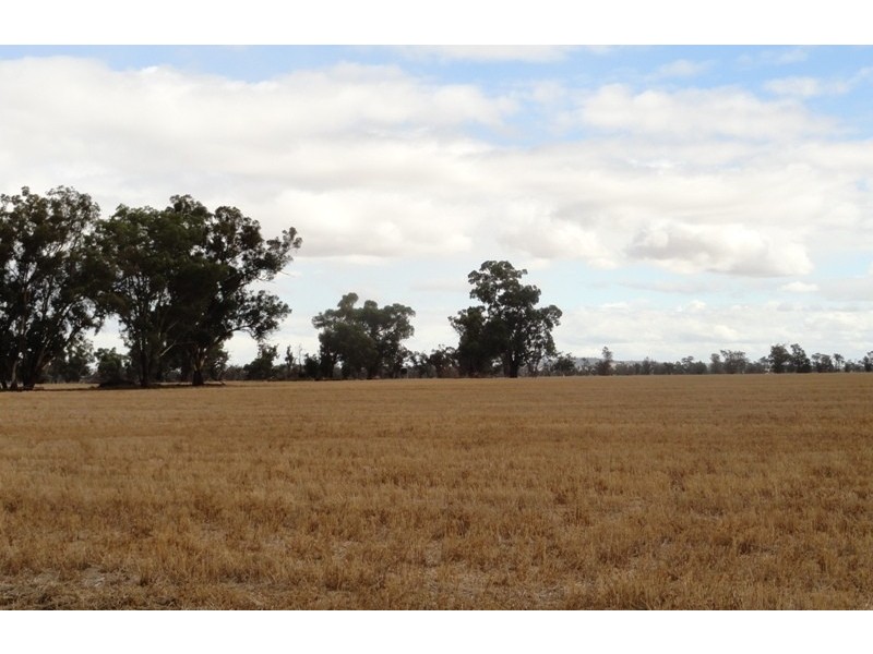 ‘Sloane’ Savernake Road, Mulwala NSW 2647