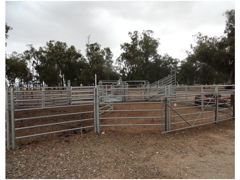 ‘Sloane’ Savernake Road, Mulwala NSW 2647